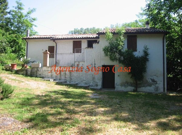 esavano in vendita a Predappio in zona Predappio Alta