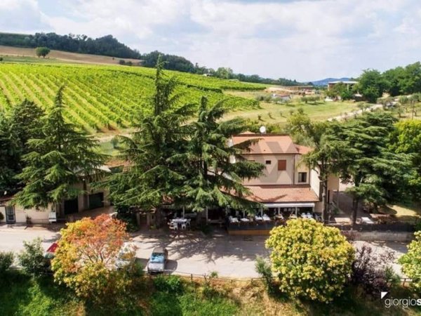 negozio in vendita a Predappio in zona Montemaggiore