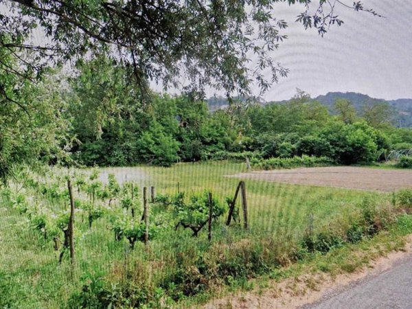 terreno agricolo in vendita a Predappio