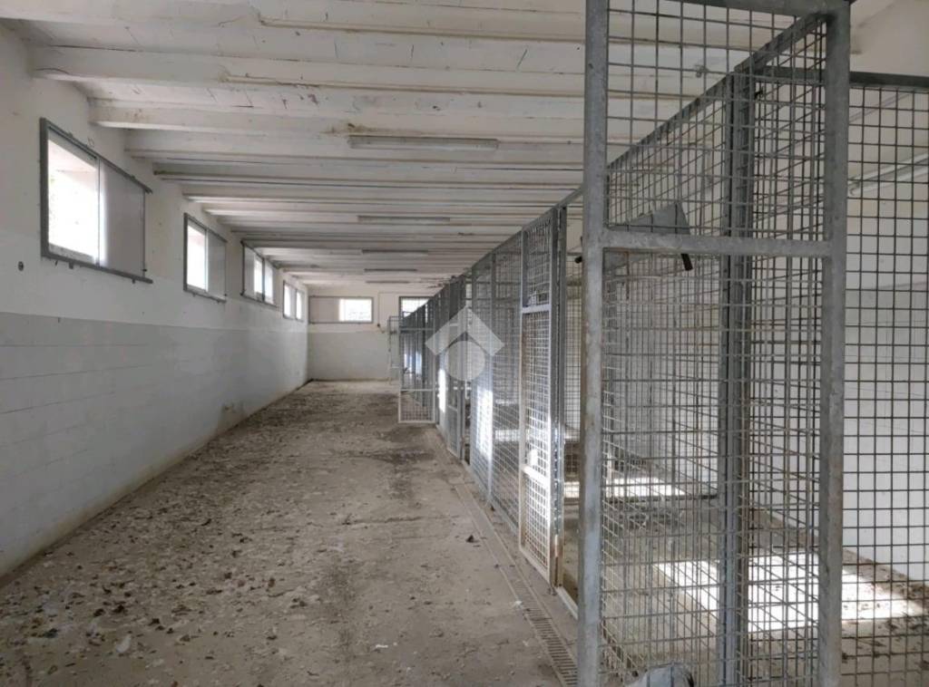 negozio in vendita a Predappio in zona Dovia