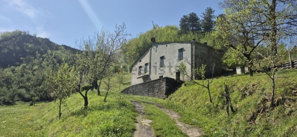 esavano in vendita a Premilcuore