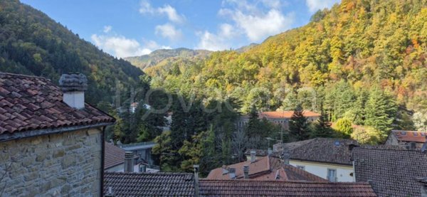 casa indipendente in vendita a Premilcuore