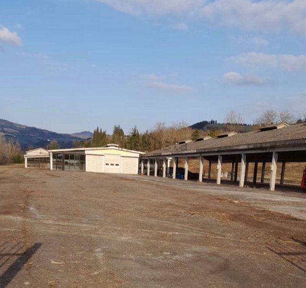 casa indipendente in vendita a Rocca San Casciano