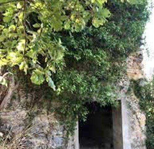 terreno edificabile in vendita a Roncofreddo in zona Diolaguardia
