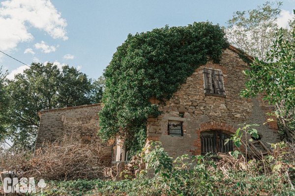 casa indipendente in vendita a Roncofreddo in zona Ardiano