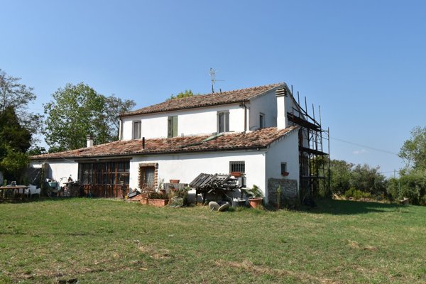 esavano in vendita a Roncofreddo in zona Santa Paola