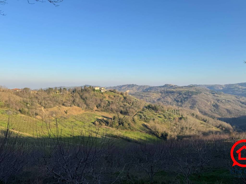 terreno agricolo in vendita a Roncofreddo in zona Ardiano