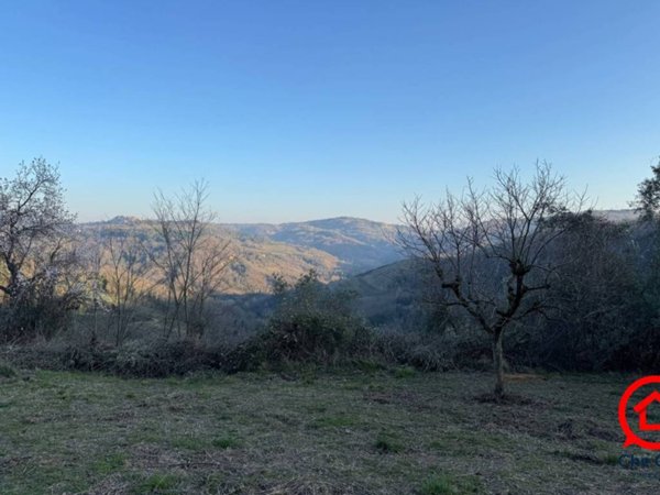 terreno agricolo in vendita a Roncofreddo in zona Ardiano