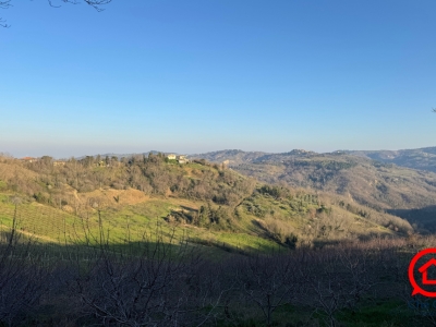 terreno agricolo in vendita a Roncofreddo in zona Ardiano