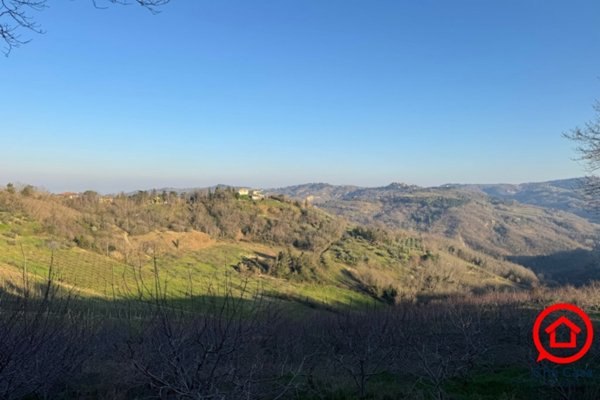 terreno agricolo in vendita a Roncofreddo in zona Ardiano