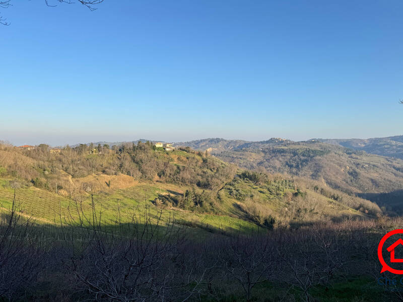 terreno agricolo in vendita a Roncofreddo in zona Ardiano