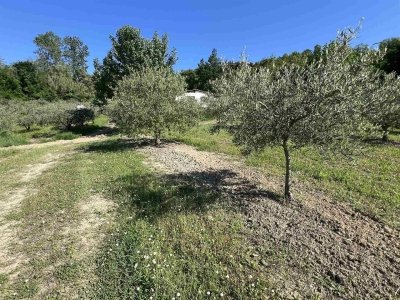 terreno agricolo in vendita a Roncofreddo