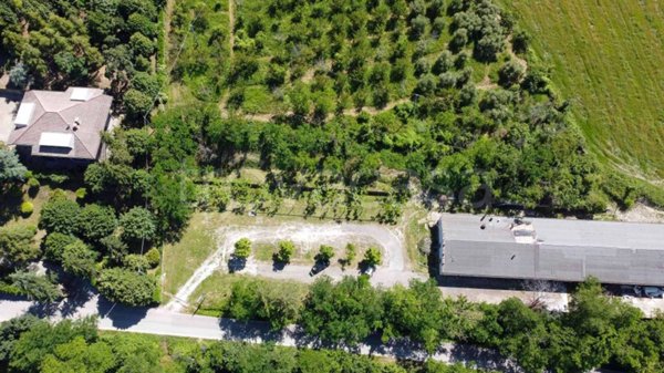negozio in vendita a Roncofreddo in zona Diolaguardia