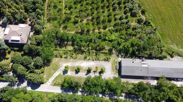 negozio in vendita a Roncofreddo in zona Diolaguardia