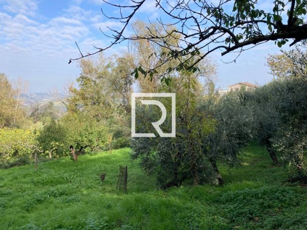 terreno edificabile in vendita a Roncofreddo