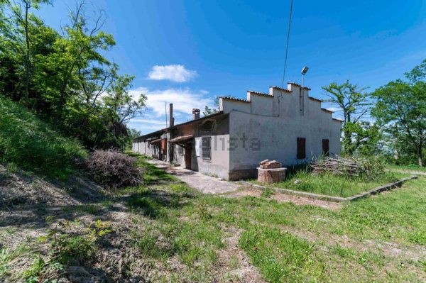 negozio in vendita a Roncofreddo in zona Diolaguardia