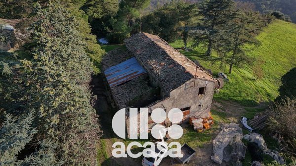 azienda agricola in vendita a Roncofreddo in zona Diolaguardia