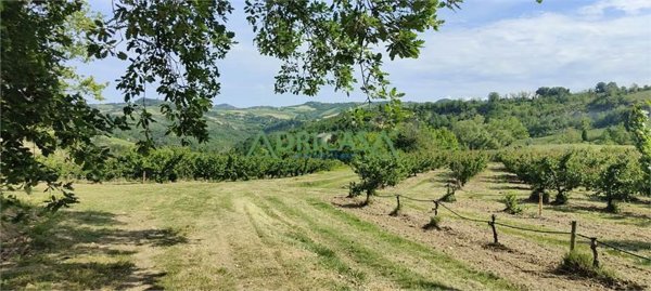 esavano in vendita a Roncofreddo