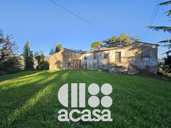 azienda agricola in vendita a Roncofreddo in zona Diolaguardia