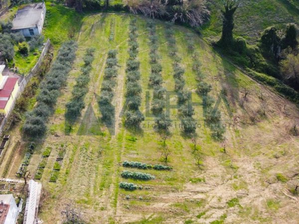 casa indipendente in vendita a Roncofreddo