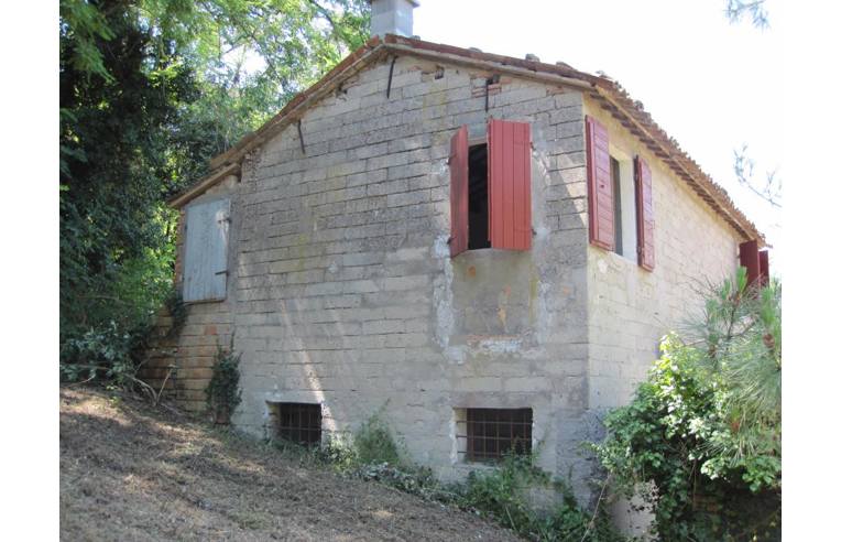 casa indipendente in vendita a Roncofreddo in zona Ardiano