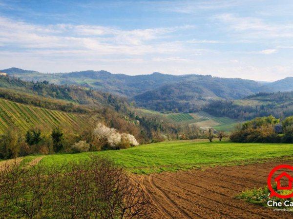 terreno agricolo in vendita a Roncofreddo in zona Sorrivoli