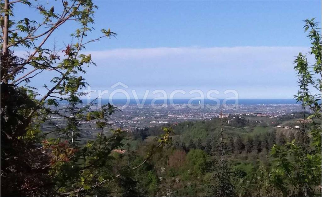 casa indipendente in vendita a Roncofreddo in zona Monteleone