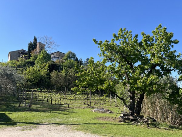 casa indipendente in vendita a Roncofreddo in zona Sorrivoli
