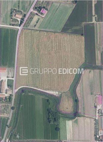 terreno agricolo in vendita a San Mauro Pascoli