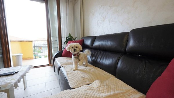 appartamento in vendita a San Mauro Pascoli