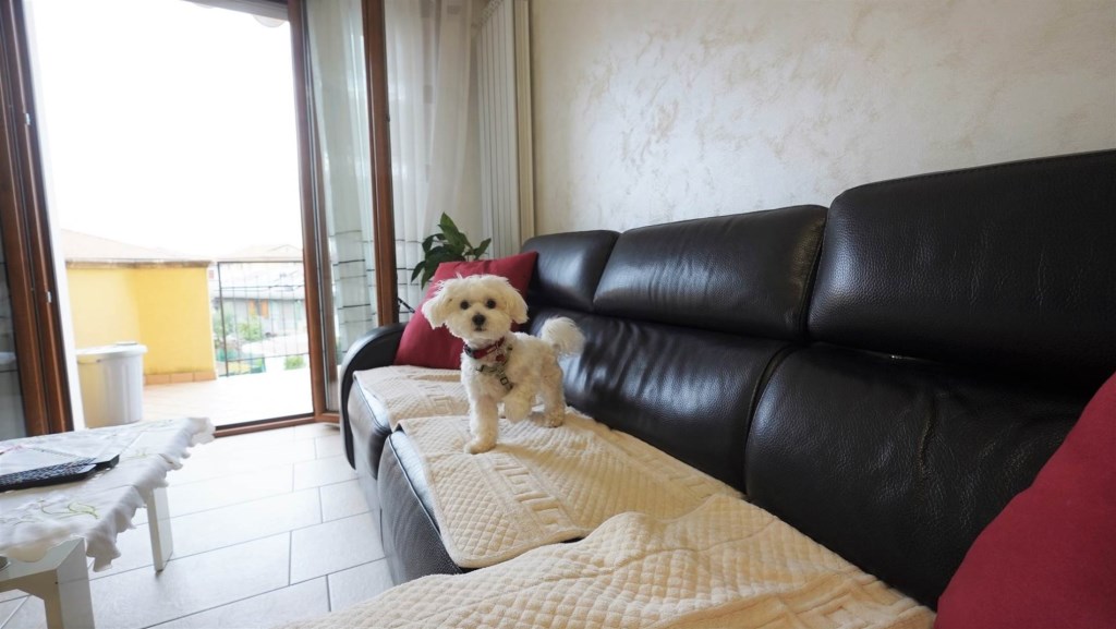 appartamento in vendita a San Mauro Pascoli