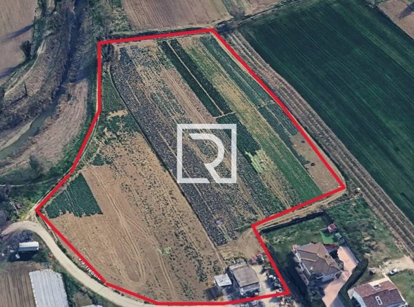 terreno agricolo in vendita a San Mauro Pascoli