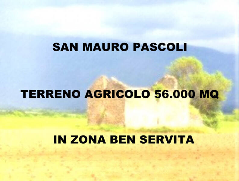 negozio in vendita a San Mauro Pascoli