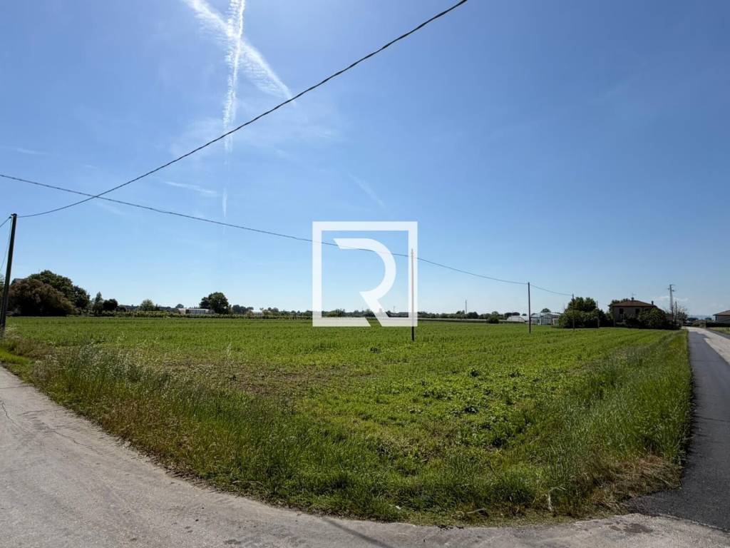 terreno agricolo in vendita a San Mauro Pascoli