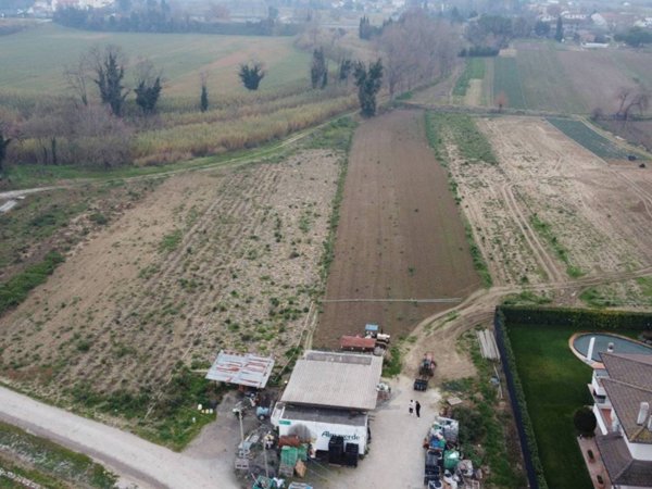 terreno agricolo in vendita a San Mauro Pascoli in zona La Torre