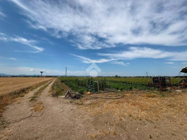 terreno agricolo in vendita a San Mauro Pascoli in zona La Torre