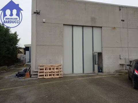 locale commerciale in vendita a San Mauro Pascoli in zona San Mauro a Mare