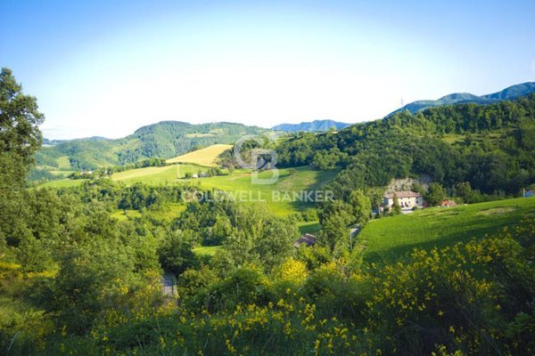 immagine annuncio 0 di 6