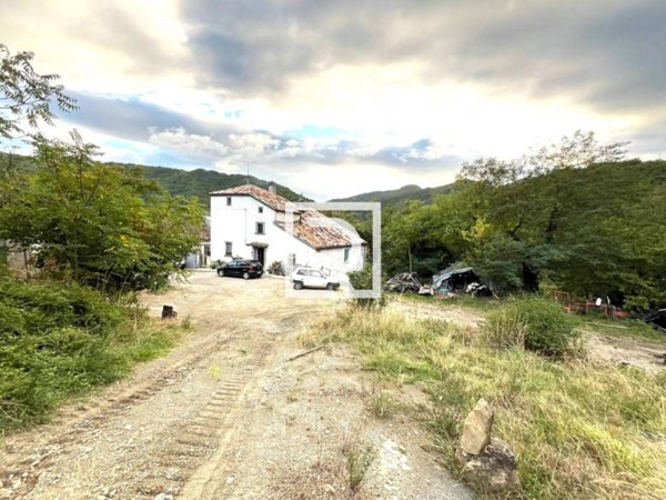 casa indipendente in vendita a Santa Sofia