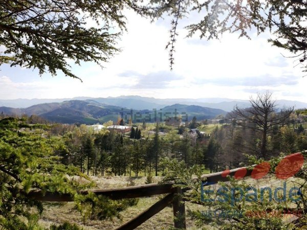 casa indipendente in vendita a Santa Sofia