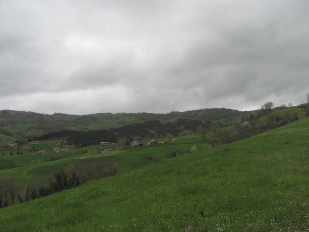terreno agricolo in vendita a Sarsina