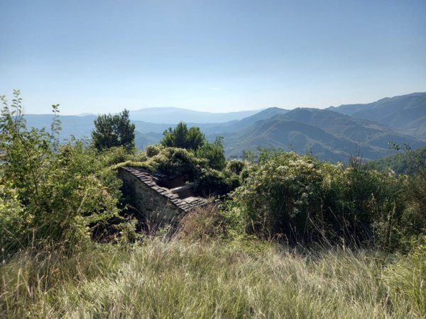 pentavano in vendita a Sarsina