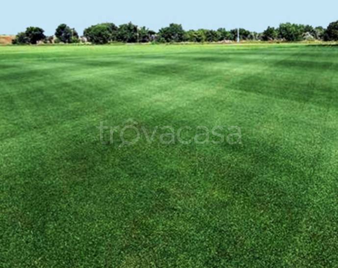 casa indipendente in vendita a Sarsina in zona Turrito