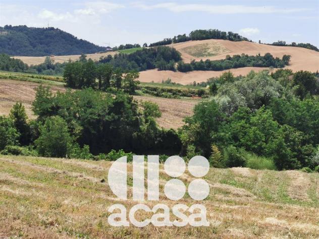 terreno agricolo in vendita a Sarsina