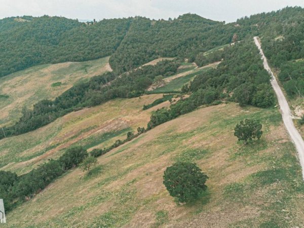 terreno agricolo in vendita a Sarsina in zona Sorbano