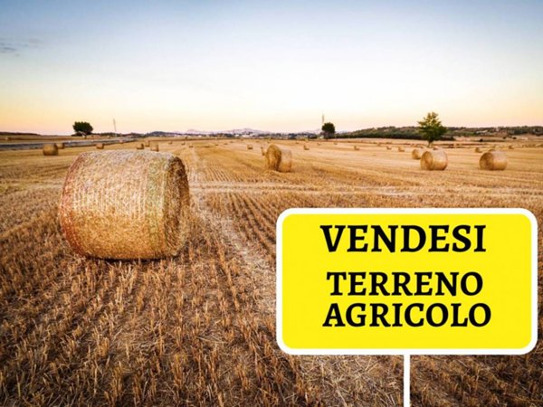 terreno agricolo in vendita a Savignano sul Rubicone