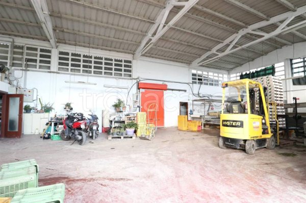 locale commerciale in vendita a Savignano sul Rubicone