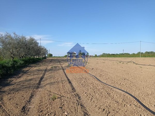 terreno agricolo in vendita a Savignano sul Rubicone