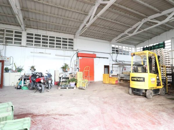 locale commerciale in vendita a Savignano sul Rubicone