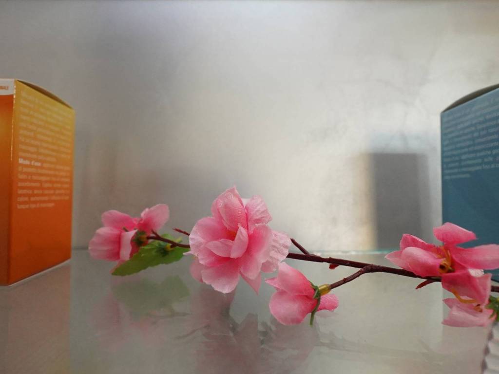 negozio in vendita a Savignano sul Rubicone